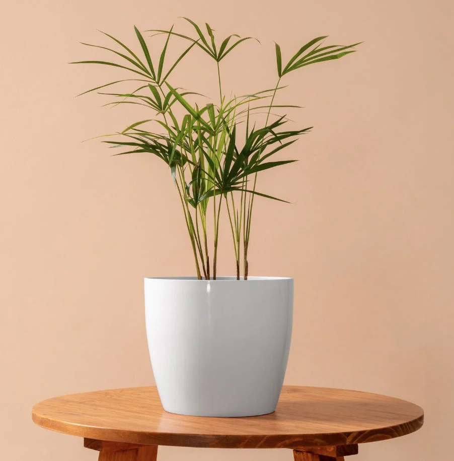 Slow craft for modern living